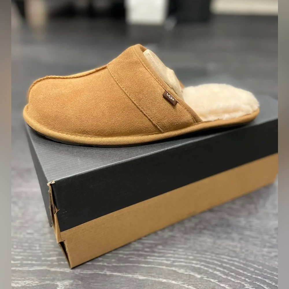 Chestnut Uggs Slippers